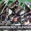 HG 1/144 FORBIDDEN GUNDAM (REMASTER) -GUNDAM EN LIGNE ban973918 0