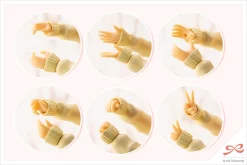 SOUSAI SHOJO TEIEN : MADOKA YUKI【TOUOU HIGH SCHOOL WINTER CLOTHES】 -GUNDAM EN LIGNE d214d61458cae16f65a559806240c88db7d0db85