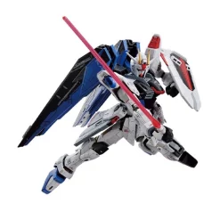 FM 1/100 ZGMF-X10A FREEDOM GUNDAM VER.GCP -GUNDAM EN LIGNE gb fm 100 freedom gcp 3 660x660 1