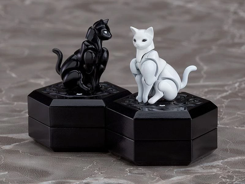 CHITOCERIUM 1/1 XXII-TANIO ATR 8 CHITOCERIUM 1/1 XXII-TANIO ATR – Image 6